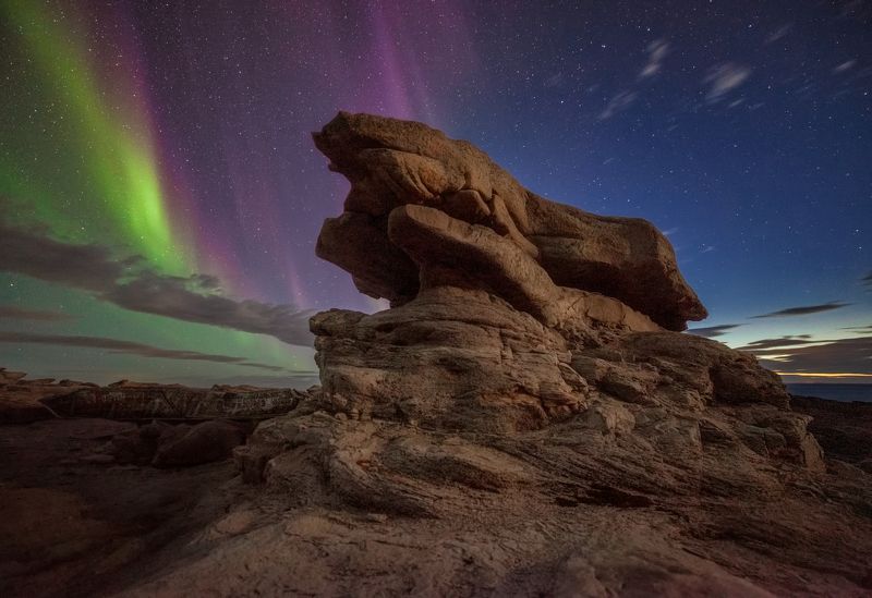 На землю опустилась ночьphoto preview