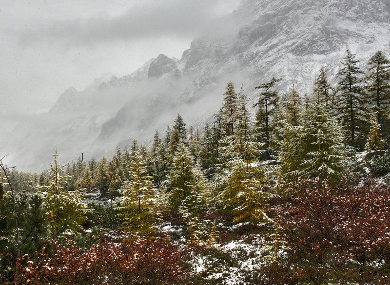 Картинка из северной сказки фото превью
