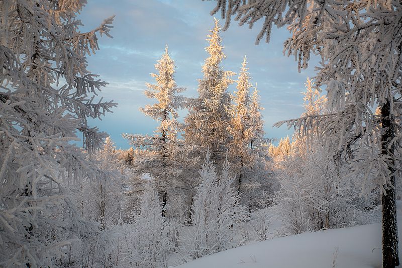 На закате дняphoto preview