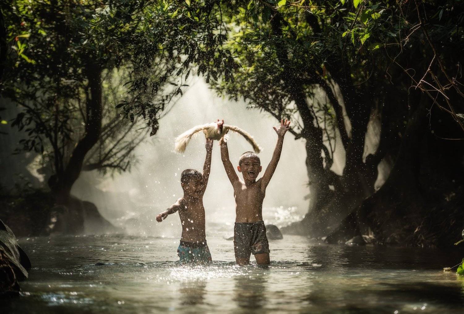 Funny. Автор: Sasin Tipchai boy; open; kid; retro; move; water; fly; hands; blond; flowers; arms; happiness; duck; sunny; wheat; thai; summer; jump; freedom; two; walk; smile; recreation; face; body; run; motion; outdoors; joy; cheerful; fresh; child; nature; alone; little; sport; h, Sasin Tipchai