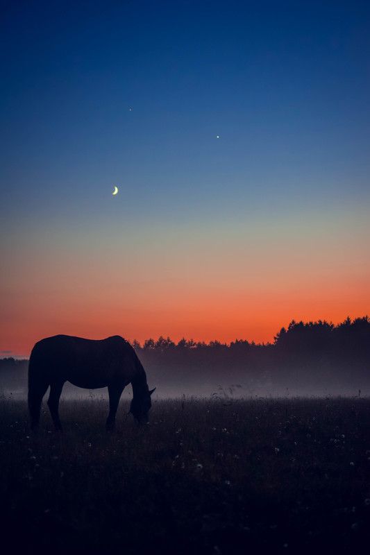 Роман, Ukraine