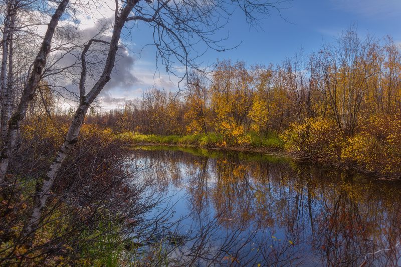 Золото, Осень, Рыбалка, Сентябрь, Ямал По следам рыбыphoto preview