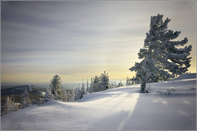 горная, шория, шерегеш, гора, зеленая, каритшал, зима, снег, стыврин, андрей на закатеphoto preview