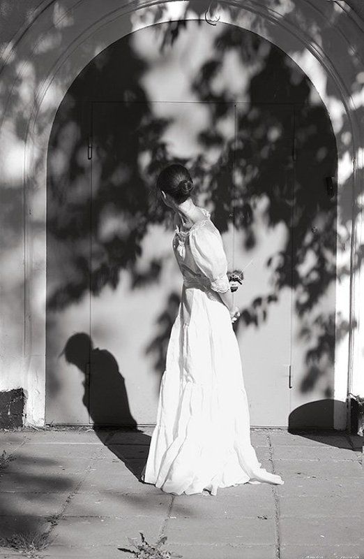 Wings of the shadowsphoto preview