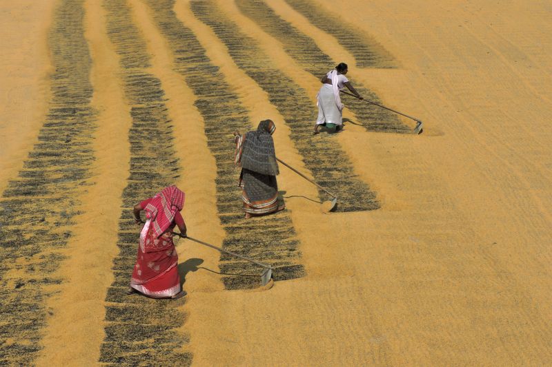 Rahul Saha, India [TOP100 2015]