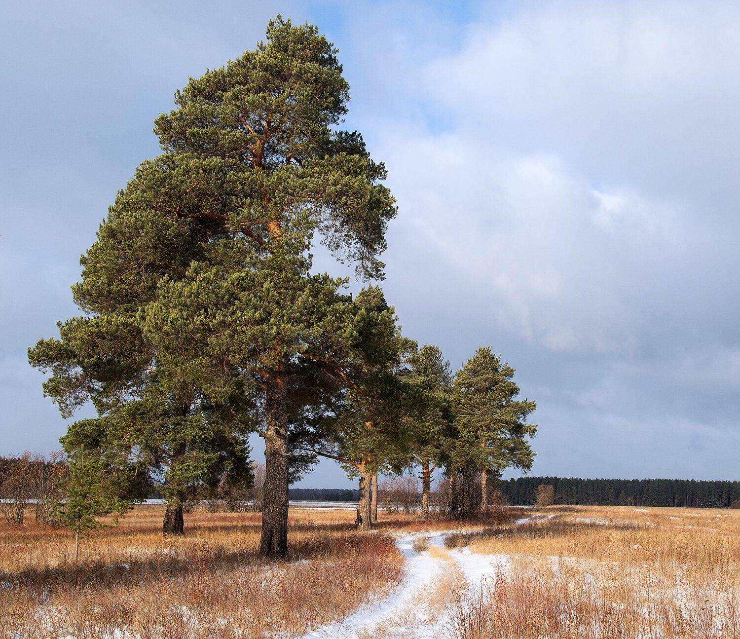 , Поташев Александр