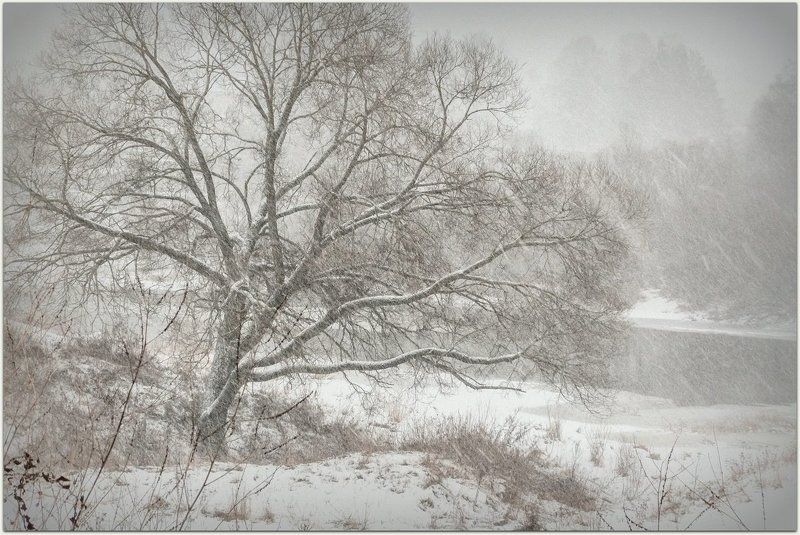 зима, зима пришла, метель, природа  времена года, снег идет завьюжилоphoto preview