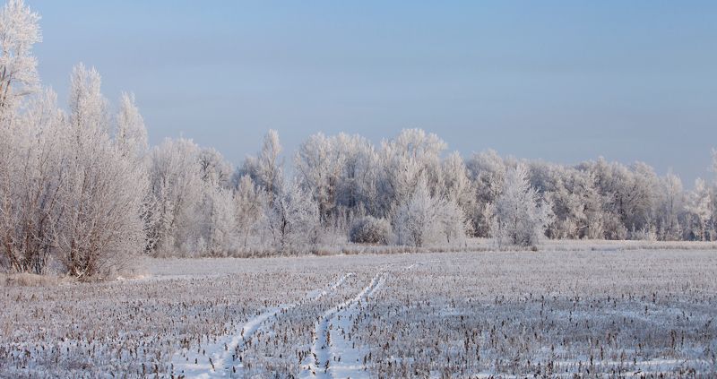 В декабреphoto preview