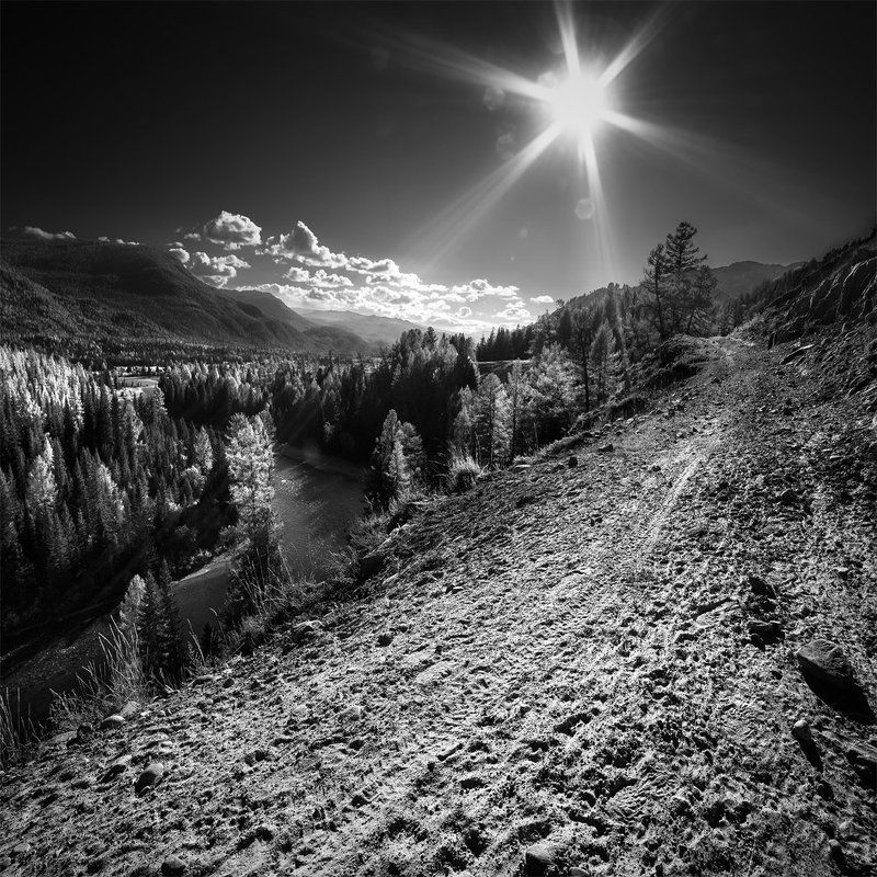 пейзаж, природа, дорога, квадрат, чб, черно-белое, степь, долина, самаха, река, коксу, алтай, горы, тайга, лучи, солнце, большой, красивая, высокие Жареное солнцеphoto preview