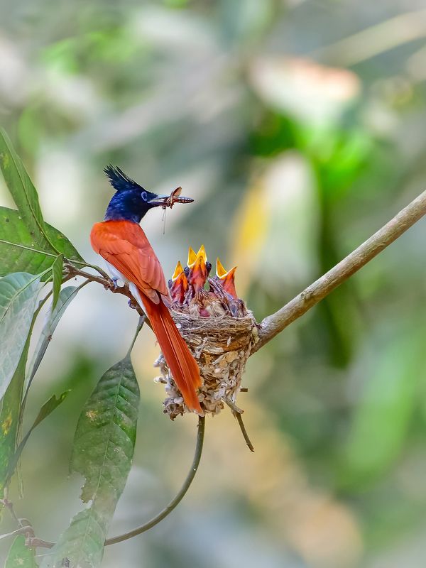 My Family. My Paradise.photo preview