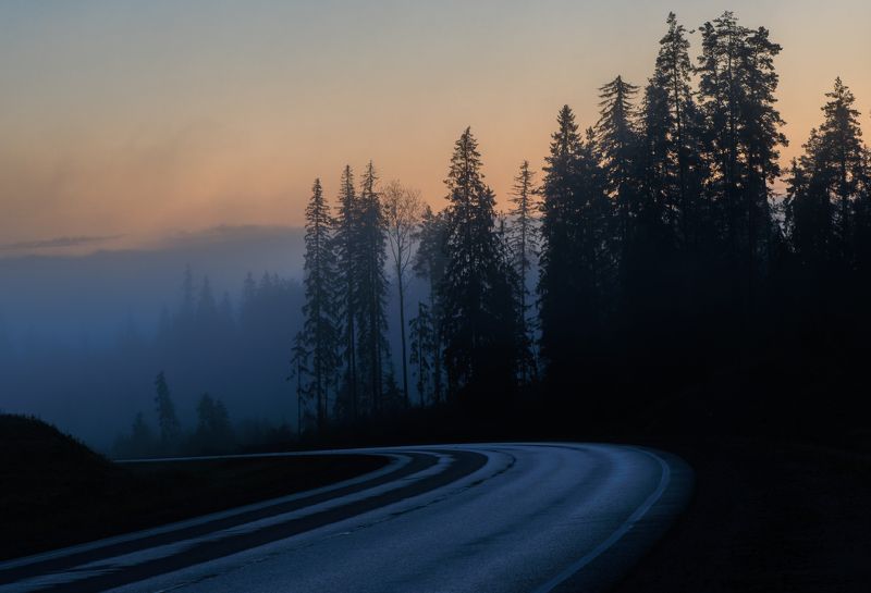 дорога лес рассвет Дорога в новый деньphoto preview