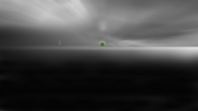 A lonely treephoto preview