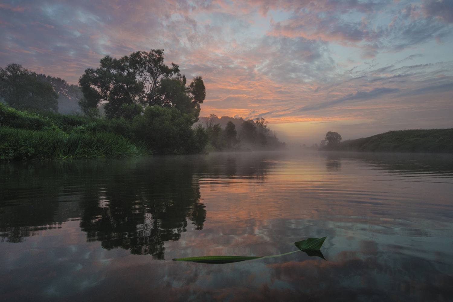 В утреннем небе спят облака. Автор: Михаил Агеев лето, утро, рассвет, река, упа, якшино, Михаил Агеев