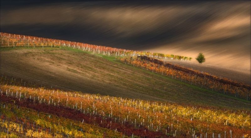 чехия, южная моравия, фототур, фототуры 2025, phototravel.pro Про спички ..photo preview