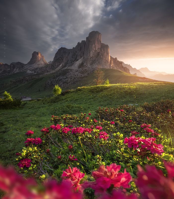 dolomiti, dolomites, sunrise, landscape, sky, sun, mountains, clouds, mountains, italy, flowers, lights first Lights to Flowersphoto preview