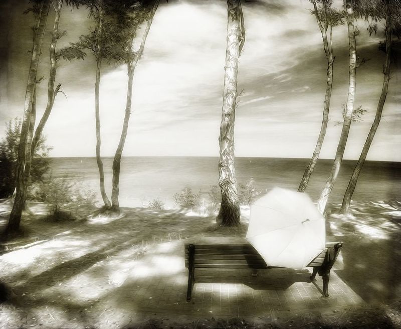 Пейзаж с Зонтом.photo preview