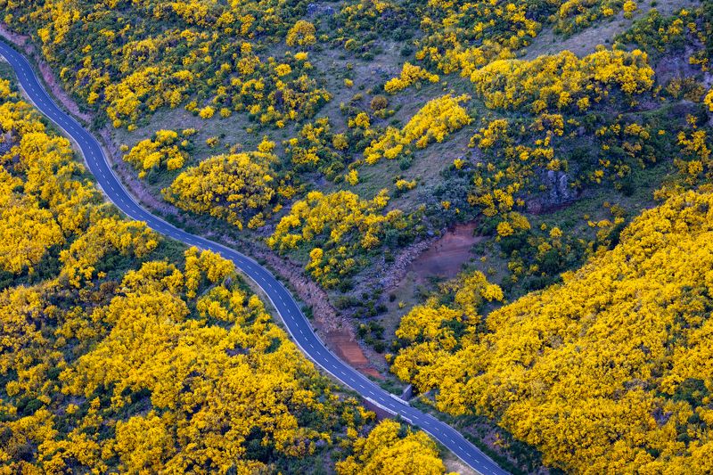 из серии дороги Мадейрыphoto preview