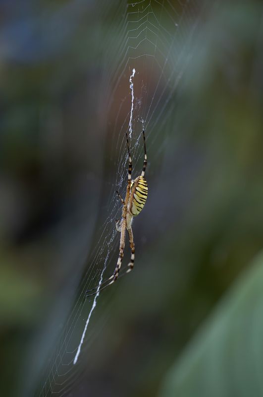 В воздушном пространстве...photo preview