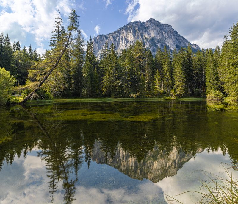 #lake #reflection #mirror #mountains #forest #outdoor Lake Reflectionsphoto preview