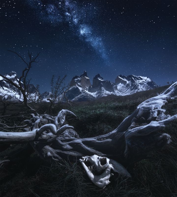 Ночь в Торрес-дель-Пайне фото превью