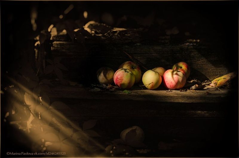 яблочный спас,  праздник, природа, яблоки, воспоминания Осенние яблоки...С Яблочным Спасом!photo preview