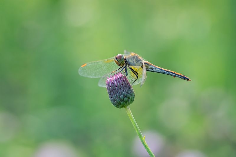 Остановочный пунктphoto preview