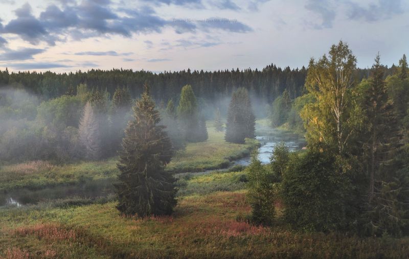 пейзаж, ленобласть, туман, landscape, nature, природа, foggy, forest, ленинградская область Одним чудесным утромphoto preview