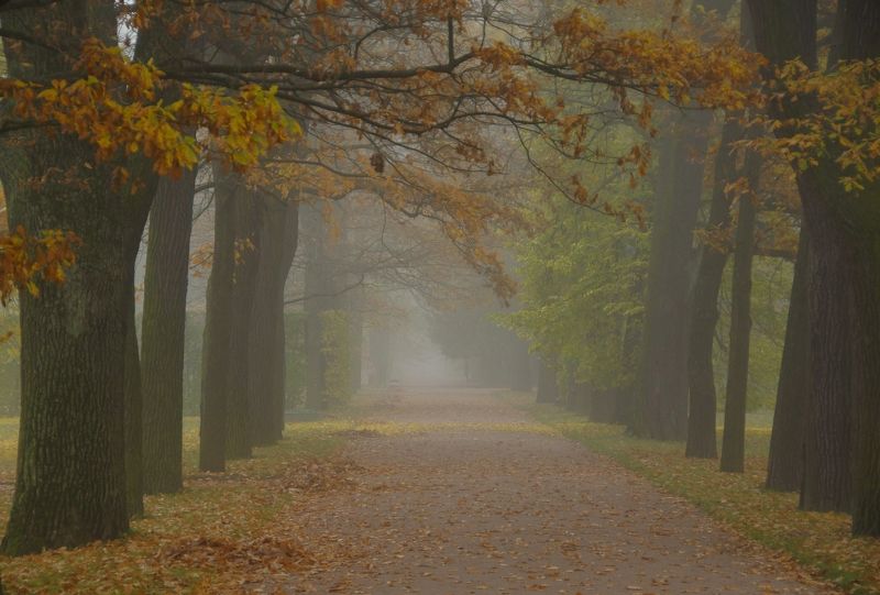 Autumn morningphoto preview