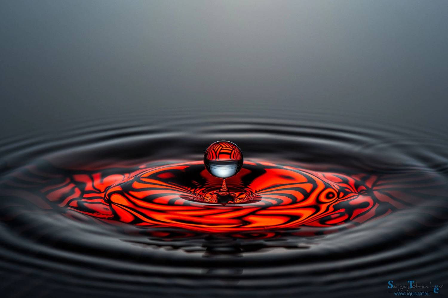 сергей толмачев, уменянакухне, liquidart, liquid, splash, water, waterdrop, капли, всплеск, вода, макро, падениекапли,, Сергей Толмачев