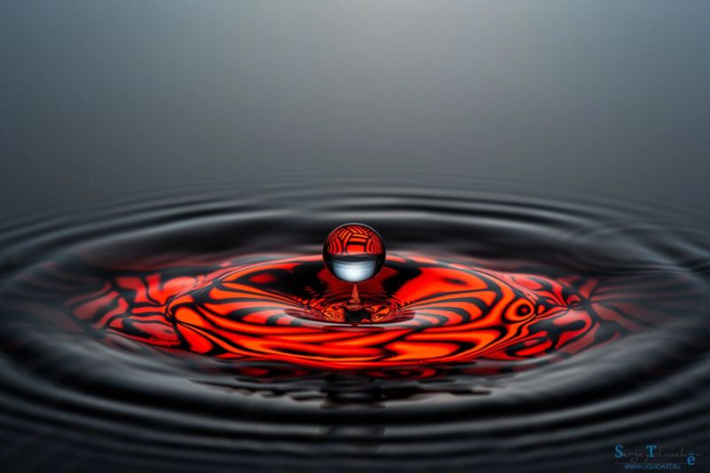 сергей толмачев, уменянакухне, liquidart, liquid, splash, water, waterdrop, капли, всплеск, вода, макро, падениекапли, photo preview