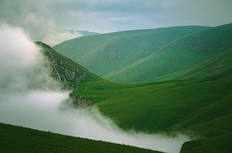 Димацphoto preview