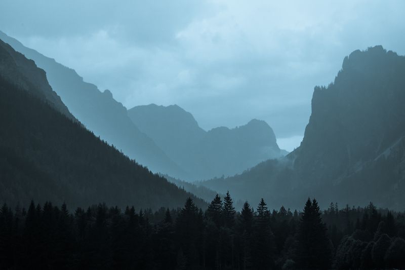 #twilight #forrest #mountains #landscape #nature Twilightphoto preview