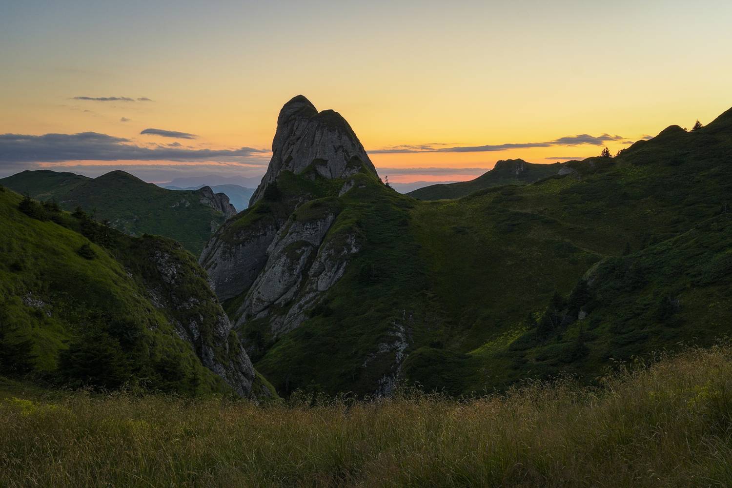 2024. Автор: Stefan Chirobocea , Stefan Chirobocea