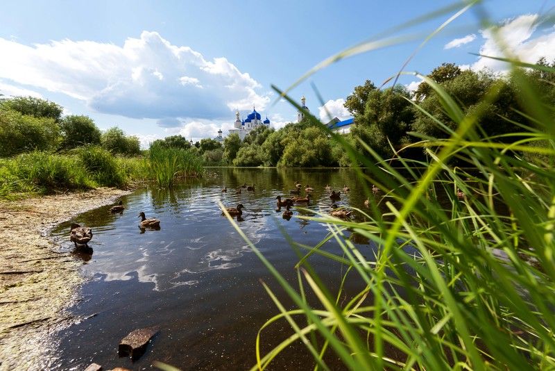 #россия Боголюбово, 07.2024г.photo preview