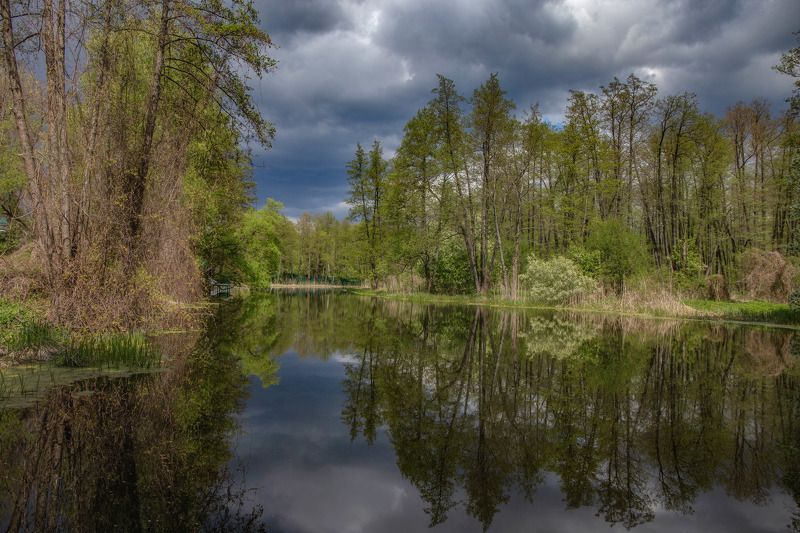 воронежская обл. р.усмань Перед дождемphoto preview