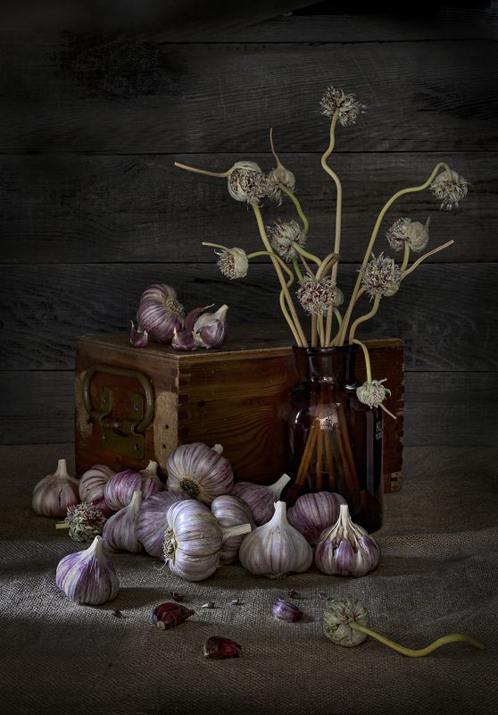 осень,урожай,чеснок, чеснокphoto preview