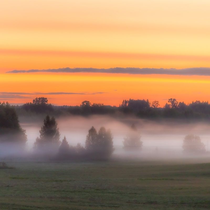 туман, утро, Киров, Вятка, поле, небо, рассвет, тепло, природа, Россия, лес,  Однажды на рассветеphoto preview