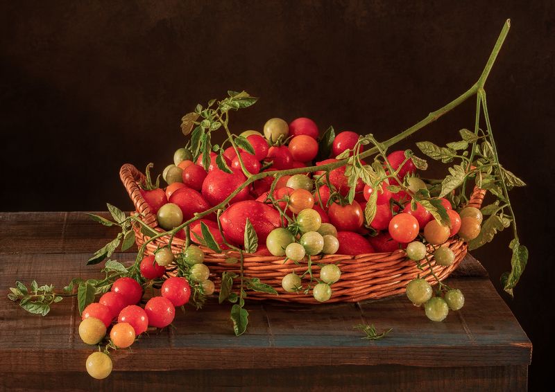 Помидорки на веточке.photo preview