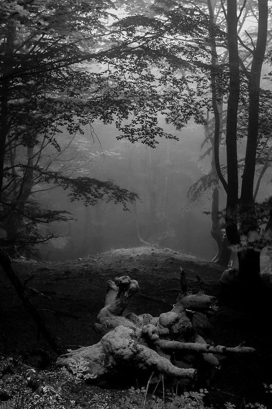 Ambientesphoto preview