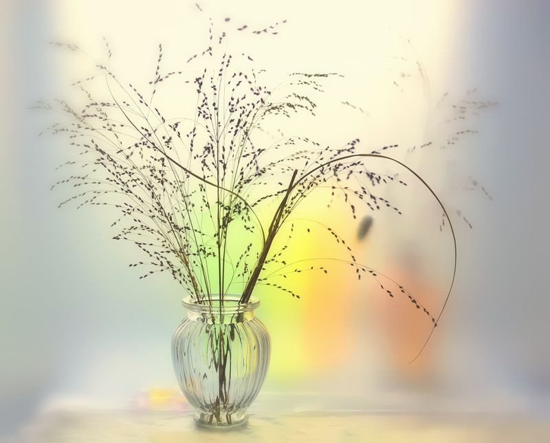 натюрморт,композиция,свет,лето,букет,злак Уходящее лето...photo preview