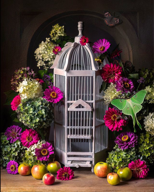 Bird Cagephoto preview