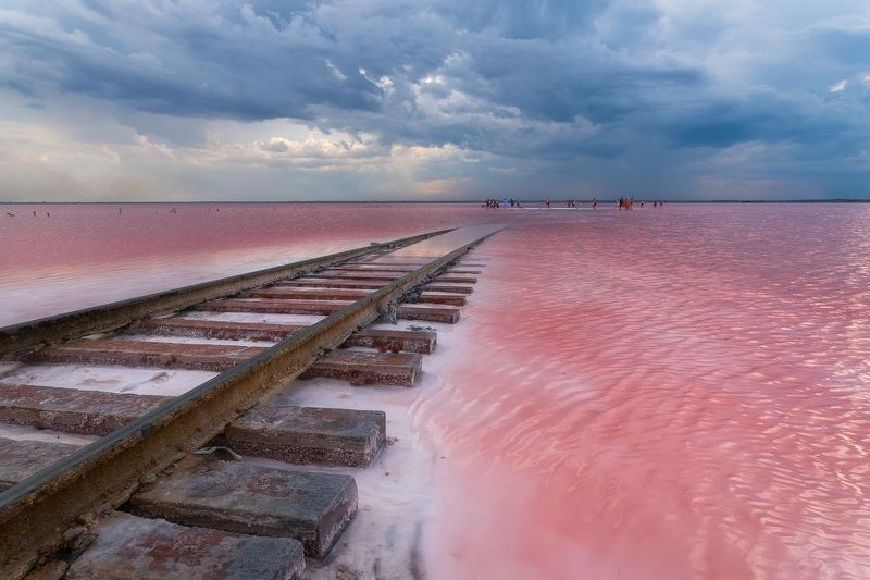 Розовые мечтыphoto preview