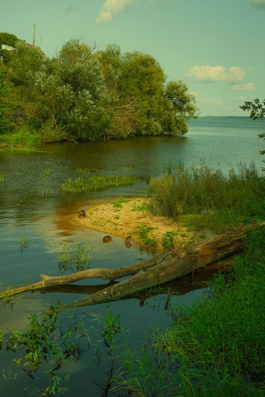 Волгаphoto preview