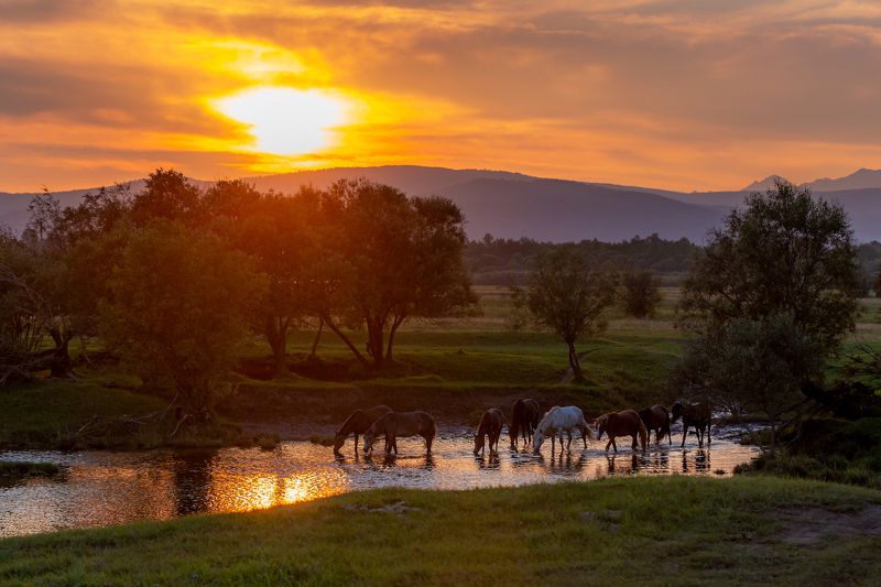 Август. Вечер. Саяны.photo preview