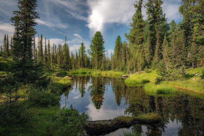 Таежные озераphoto preview