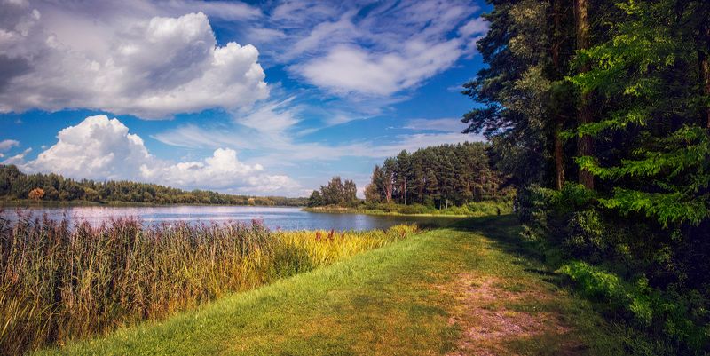 лето, озеро, лес, небо, На берегу озераphoto preview