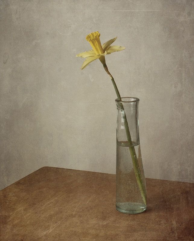 Нарциссphoto preview