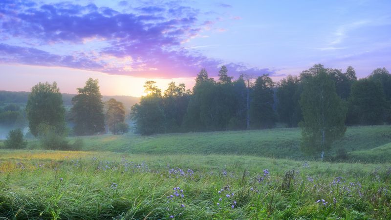 Ранним утром, в середине лета.photo preview