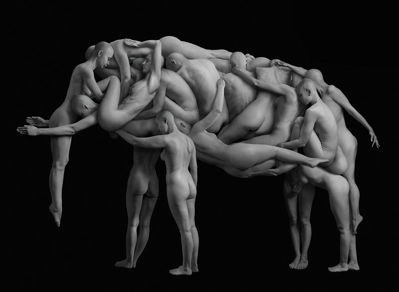 Elephantphoto preview