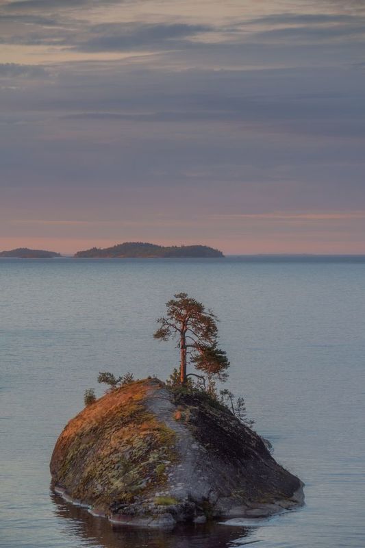 ладога, шхеры, карелия, ладожскиешхеры Остров Кит в первых лучах солнцаphoto preview